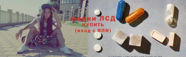 индика Балахна