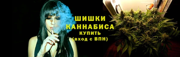 стафф Белокуриха