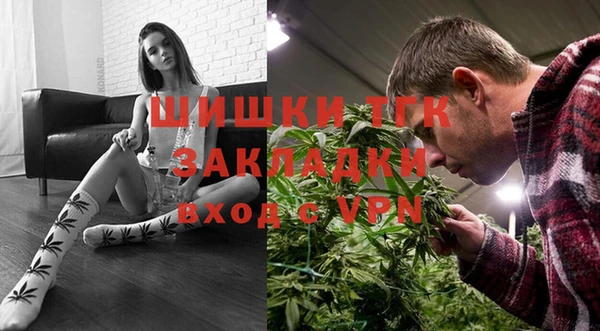 индика Балахна