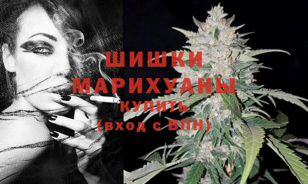 индика Балахна
