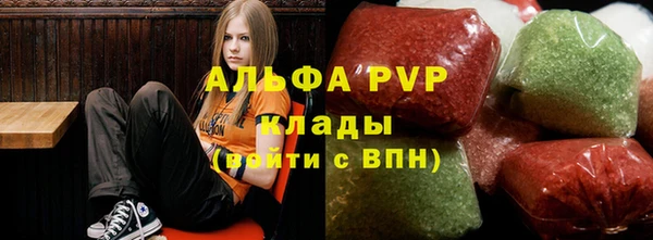 стафф Белокуриха