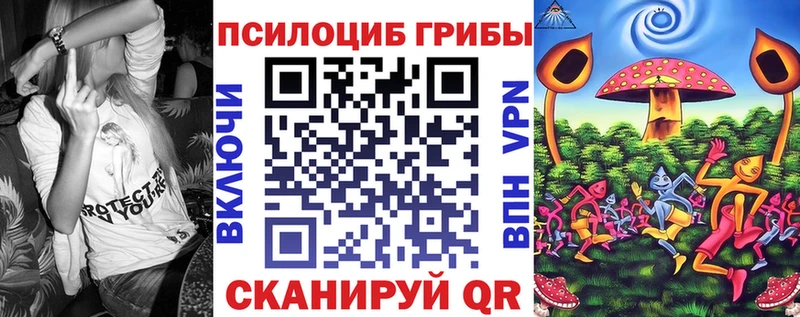 Галлюциногенные грибы Psilocybe  Ленинск-Кузнецкий 